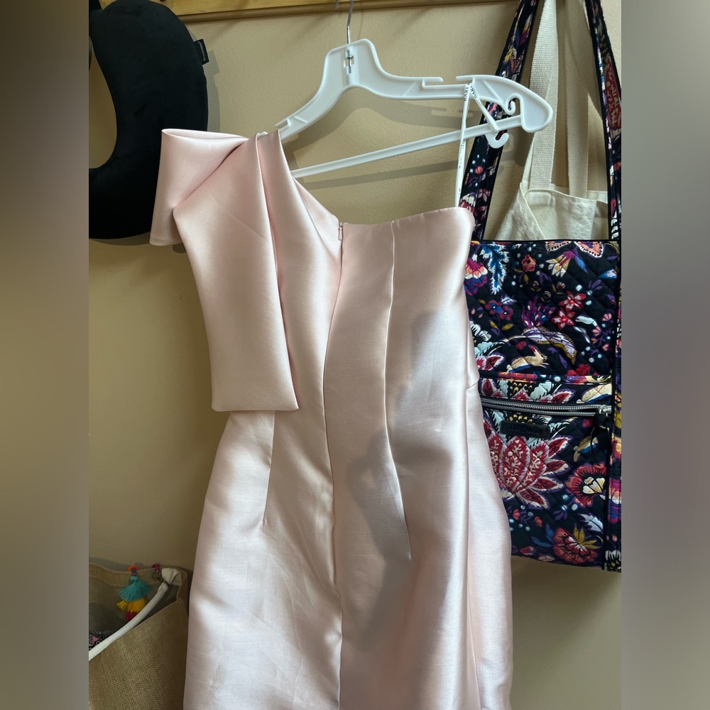 Bari Jay Blush Pink Dress Full-Length One Shoulder